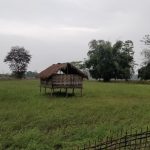 A Majuli’s memory | Majuli Assam | North-East India