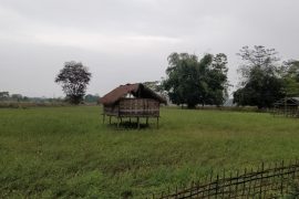 A Majuli’s memory | Majuli Assam | North-East India