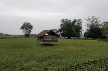 A Majuli’s memory | Majuli Assam | North-East India