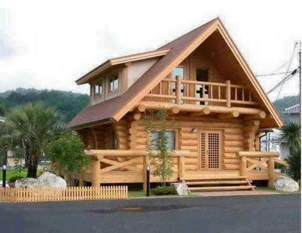 Unique Log House