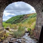 Discovering Different Culvert Types: A Guide for Young Explorers