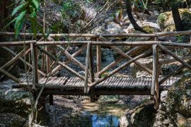 Discover the enchanting beauty of Bamboo Trek Meghalaya, India