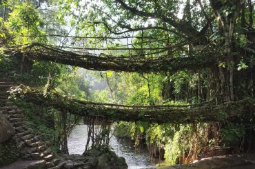 Discover the breathtaking beauty of Double Decker Living Root Bridge