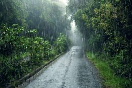 Discover the beauty and wonder of Mawsynram- the wettest place on earth