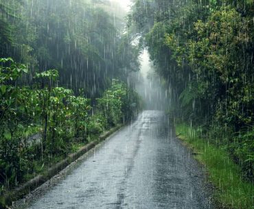 Discover the beauty and wonder of Mawsynram- the wettest place on earth